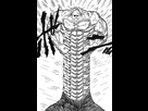 https://image.noelshack.com/fichiers/2022/29/2/1658252030-morel-abs.png