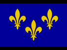 https://image.noelshack.com/fichiers/2022/29/4/1658394796-drapeau-flag-flagg-ile-de-france-fleur-de-lys-etendart-roi-de-france-polyest.jpg