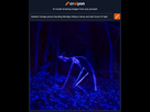 https://image.noelshack.com/fichiers/2022/29/6/1658610330-craiyon-230510-realistic-footage-picture-blooding-wendigo-hiding-in-dense-and-dark-forest-uv-light.png