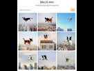 https://image.noelshack.com/fichiers/2022/30/1/1658712028-dog-flying-above-the-city.jpg