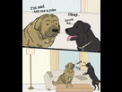 https://image.noelshack.com/fichiers/2022/30/1/1658773981-blague-chien-9gag-joke-bark.jpg