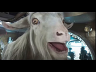 https://image.noelshack.com/fichiers/2022/30/2/1658855586-thor-goat.jpg