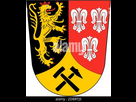 https://image.noelshack.com/fichiers/2022/30/3/1658879732-armoiries-du-district-d-amberg-sulzbach-allemagne-2dbrtj5.jpg