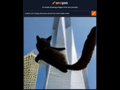 https://image.noelshack.com/fichiers/2022/30/3/1658941527-craiyon-190427-a-black-cat-is-flying-with-jesus-around-the-world-trade-center-nbsp.png