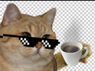 https://image.noelshack.com/fichiers/2022/30/4/1659002903-imgbin-internet-meme-cat-internet-forum-game-meme-26pnswskebzzjegydpknlqe74.jpg