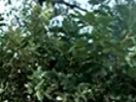 https://image.noelshack.com/fichiers/2022/30/5/1659110483-5-p57weoa2.png