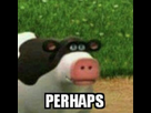 https://image.noelshack.com/fichiers/2022/30/5/1659112199-978.jpg