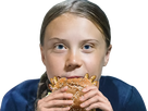https://image.noelshack.com/fichiers/2022/30/6/1659142626-greta-thunberg.png