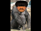 https://image.noelshack.com/fichiers/2022/31/2/1659474918-image.png