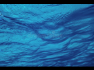 https://image.noelshack.com/fichiers/2022/31/3/1659558463-vue-sous-marine-sur-la-surface-de-mer-eau-contexte-155241053.jpg