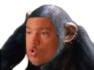https://image.noelshack.com/fichiers/2022/31/4/1659644692-6a2e1436-249a-4d4a-8573-77c56d8c763d.png