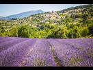 https://image.noelshack.com/fichiers/2022/31/7/1659837245-provence-aurel-1597884.jpg