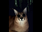 https://image.noelshack.com/minis/2022/31/7/1659866981-img-20220805-225107.png