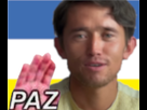 https://image.noelshack.com/fichiers/2022/32/2/1660043794-mirpaz.png
