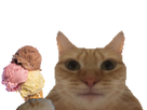 https://image.noelshack.com/fichiers/2022/32/4/1660203869-1658680124-chat-glace-4.png