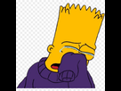 https://image.noelshack.com/fichiers/2022/33/2/1660663807-bart-lossimpson-sad-lagrimas-sticker-llorar-triste-bart-simpson-crying-11562850963zzgqfjtwrm.png