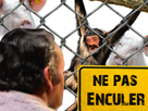 https://image.noelshack.com/fichiers/2022/33/3/1660737752-full-17.png