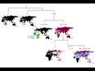 https://image.noelshack.com/fichiers/2022/33/4/1660827111-y-chromosome-haplogroups-483477874.png