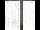 https://image.noelshack.com/fichiers/2022/33/4/1660827790-timeline-comparison.png