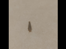 https://image.noelshack.com/minis/2022/33/6/1660947961-img-20220820-002352.png