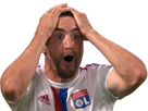 https://image.noelshack.com/fichiers/2022/33/6/1661015624-tagliafico1.png