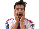 https://image.noelshack.com/fichiers/2022/33/6/1661015755-tagliafico2.png