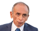 https://image.noelshack.com/fichiers/2022/33/6/1661032547-zemmour-doute.png