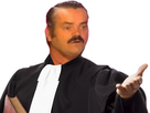 https://image.noelshack.com/fichiers/2022/33/6/1661032733-juge.png