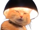 https://image.noelshack.com/minis/2022/33/7/1661075957-screenshot-2020-11-09-00-34-25-830-com-pinterest-removebg-preview.png