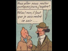 https://image.noelshack.com/fichiers/2022/34/1/1661183929-tintin1.jpg