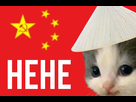 https://image.noelshack.com/fichiers/2022/34/4/1661394091-20220825-040914.jpg