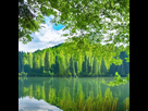 https://image.noelshack.com/fichiers/2022/34/4/1661411237-lake-with-green-forest.png
