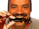 https://image.noelshack.com/fichiers/2022/34/4/1661413200-1660650546-risitas-big-smile-bugz-insecte-sticker.png