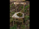 https://image.noelshack.com/fichiers/2022/34/4/1661430135-vieille-chaise-isolee-pourrie-avec-de-la-mousse-verte-dans-le-jardin-sur-l-herbe-cru-rural-174685612.jpg