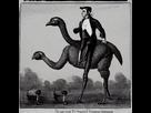 https://image.noelshack.com/fichiers/2022/34/4/1661446169-trisomic-napoleon-riding-an-ostrich.png