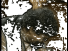https://image.noelshack.com/fichiers/2022/35/1/1661726372-0230cc3f-55da-4d7f-b9ba-a48fa3947179.gif