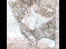 https://image.noelshack.com/minis/2022/35/1/1661764333-oups.png