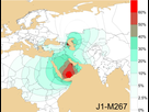 https://image.noelshack.com/fichiers/2022/35/3/1661955644-geographical-frequency-distribution-of-haplogroup-j1-m267-y-dna.jpg