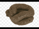 https://image.noelshack.com/fichiers/2022/36/1/1662385897-png-clipart-poop-poop-thumbnail.png