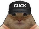 https://image.noelshack.com/fichiers/2022/36/1/1662406766-chat-cuck-casquette-removedbg.jpeg