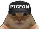 https://image.noelshack.com/fichiers/2022/36/1/1662407359-chat-pigeon-miroir-casquette-removedbg-qui-s-apprete-a-acheter-une-xbox.jpeg