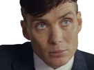 https://image.noelshack.com/fichiers/2022/36/3/1662557414-1555514606-tommy-shelby-regard-de-fou-peaky-blinders.jpg