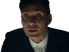 https://image.noelshack.com/fichiers/2022/36/3/1662557654-1555596538-tommy-shelby-haine-peaky-blinders.jpg