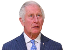 https://image.noelshack.com/fichiers/2022/36/6/1662839981-prince-charles.png