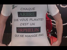 https://image.noelshack.com/fichiers/2022/36/7/1662913446-bob56.png