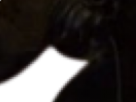 https://image.noelshack.com/fichiers/2022/37/1/1662933726-60-3cl6r6x3.png