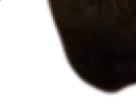 https://image.noelshack.com/fichiers/2022/37/1/1662933756-59-3cl6r6x3.png