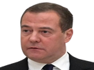 https://image.noelshack.com/fichiers/2022/37/1/1663009973-medvedev.png