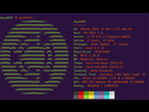 https://image.noelshack.com/fichiers/2022/37/3/1663146017-neofetch.png