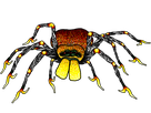 https://image.noelshack.com/fichiers/2022/37/5/1663283875-gugus-super-tison-spider.png